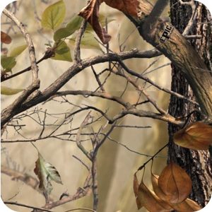 Camouflage 4 Wassertransferdruck Folie